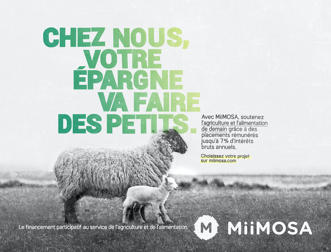 Agence Belle